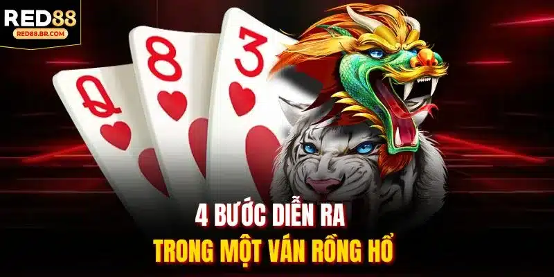 4 bước diễn ra trong một ván rồng hổ