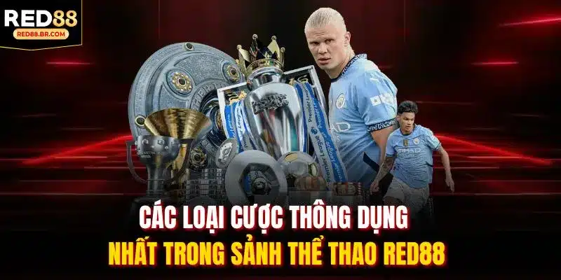 Các loại cược thông dụng nhất trong sảnh Thể Thao RED88