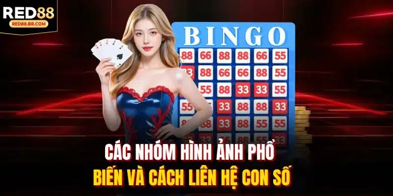 Các nhóm hình ảnh phổ biến và cách liên hệ con số