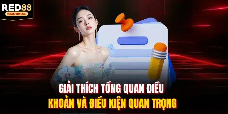 Giải thích tổng quan điều khoản và điều kiện quan trọng