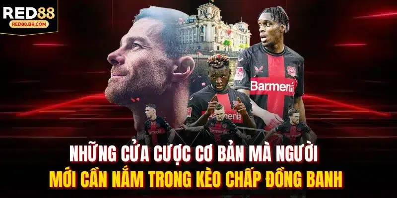 Những cửa cược cơ bản mà người mới cần nắm trong kèo chấp đồng banh