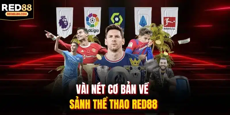 Vài nét cơ bản về sảnh Thể Thao RED88