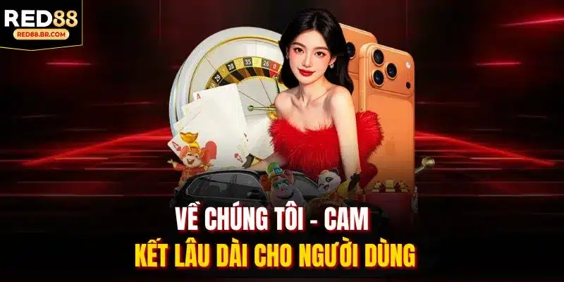 Về chúng tôi - Cam kết lâu dài cho người dùng